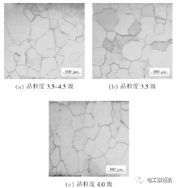 圖 2 退火成品卷的顯微組織.jpg 圖 2 退火成品卷的顯微組織.jpg