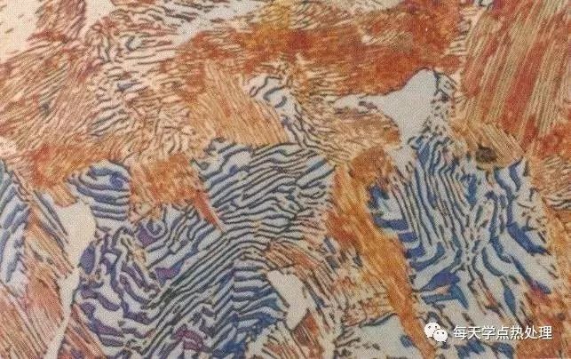 共析鋼典型金相圖.jpg 共析鋼典型金相圖.jpg