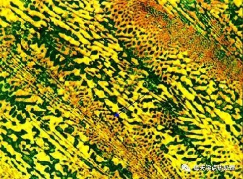 共晶鑄鐵典型金相圖.jpg 共晶鑄鐵典型金相圖.jpg