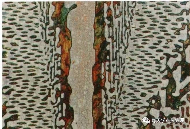 過共晶白口鑄鐵典型金相圖.jpg 過共晶白口鑄鐵典型金相圖.jpg