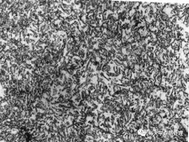 調(diào)質(zhì)-1.jpg 調(diào)質(zhì)-1.jpg