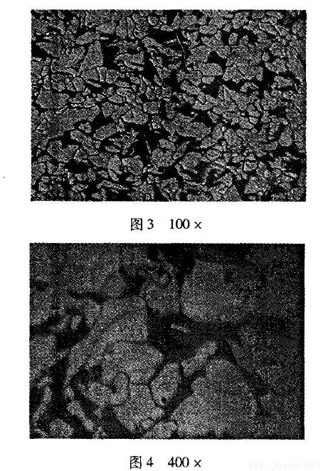 圖3-4顯微組織.jpg 圖3-4顯微組織.jpg