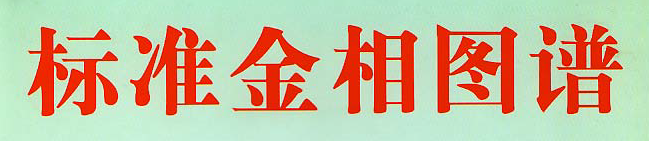 ★標(biāo)準(zhǔn)金相圖譜-0.bmp ★標(biāo)準(zhǔn)金相圖譜-0.bmp